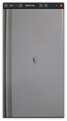 Прикрепленное изображение: Снимок экрана от 2021-02-14 15-16-37.png